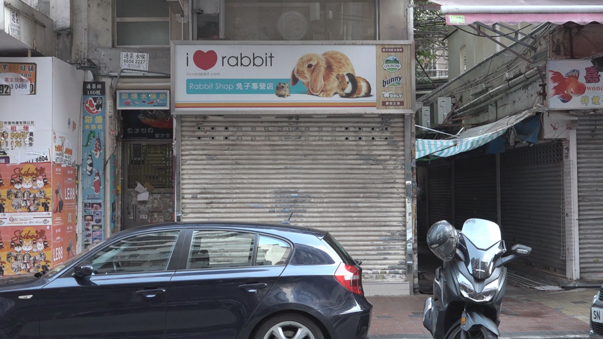 政府向合資格售賣倉鼠寵物店發放1至3萬元特惠金