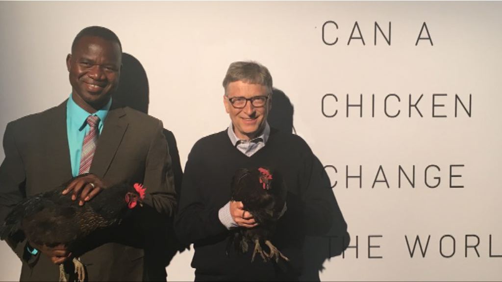 玻利維亞拒絕蓋茨捐雞計劃