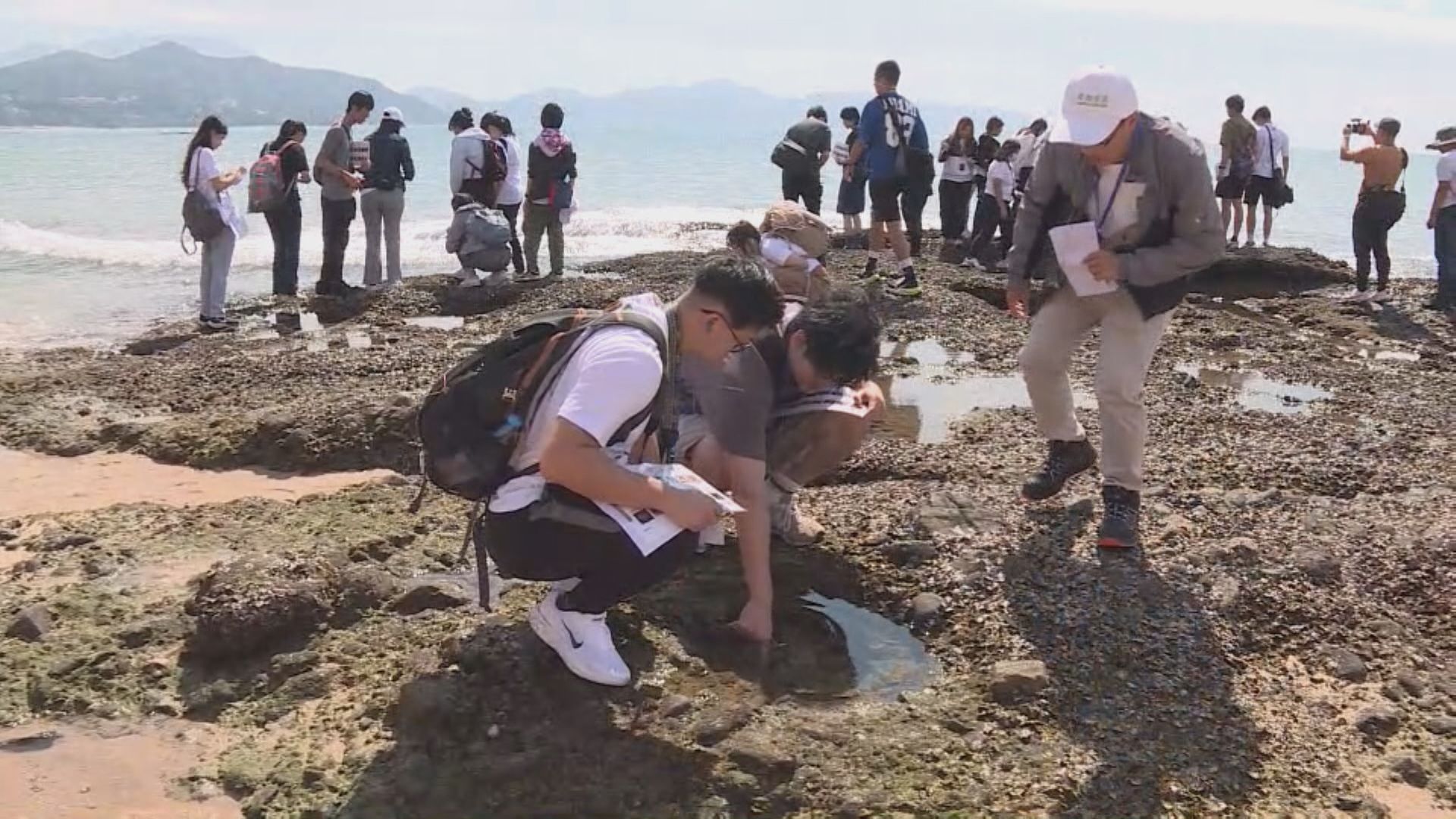 港青到深惠生態考察 冀成為生態導賞員