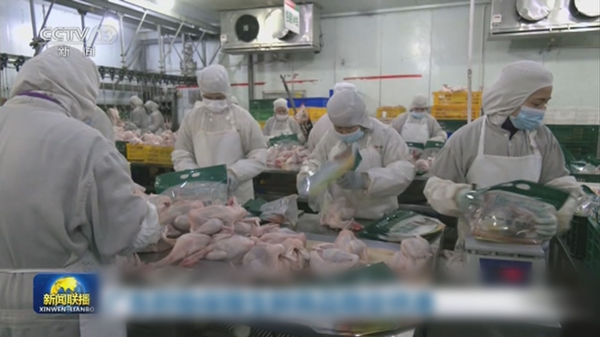 廣州海關加快廣東出口糧食到港