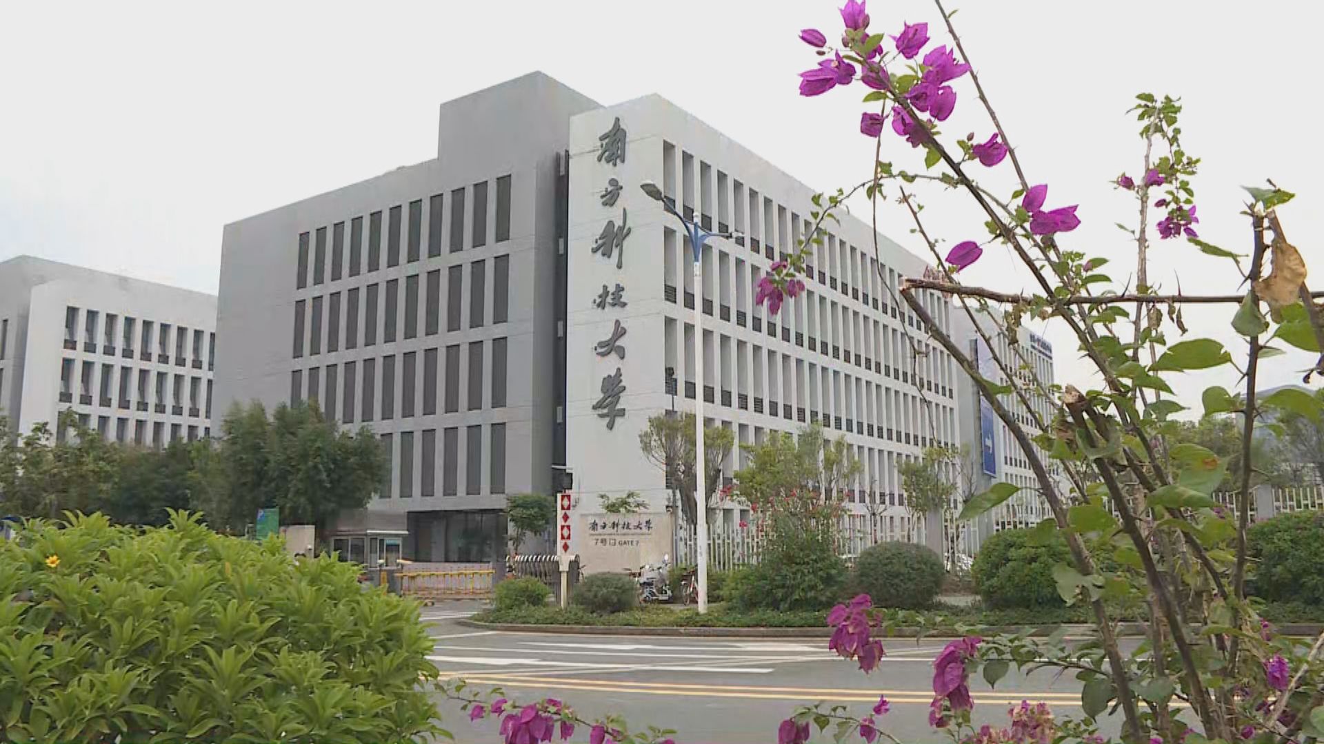 南方科技大學譴責人類胚胎基因編輯應用