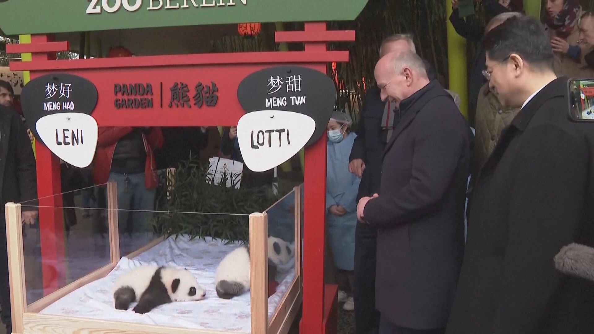 德國柏林大熊貓雙胞胎獲命名為「夢好」和「夢甜」