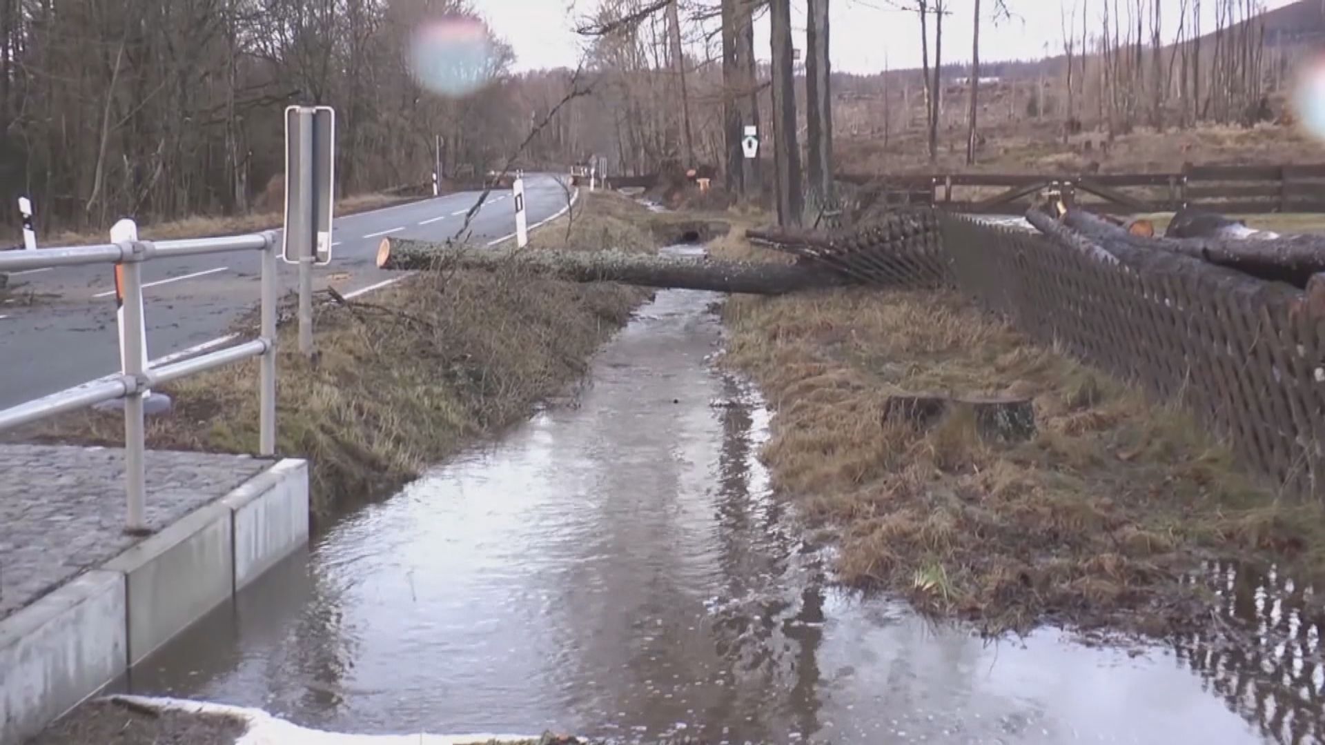 風暴伊蓮尼亞吹襲德國　至少四人死亡