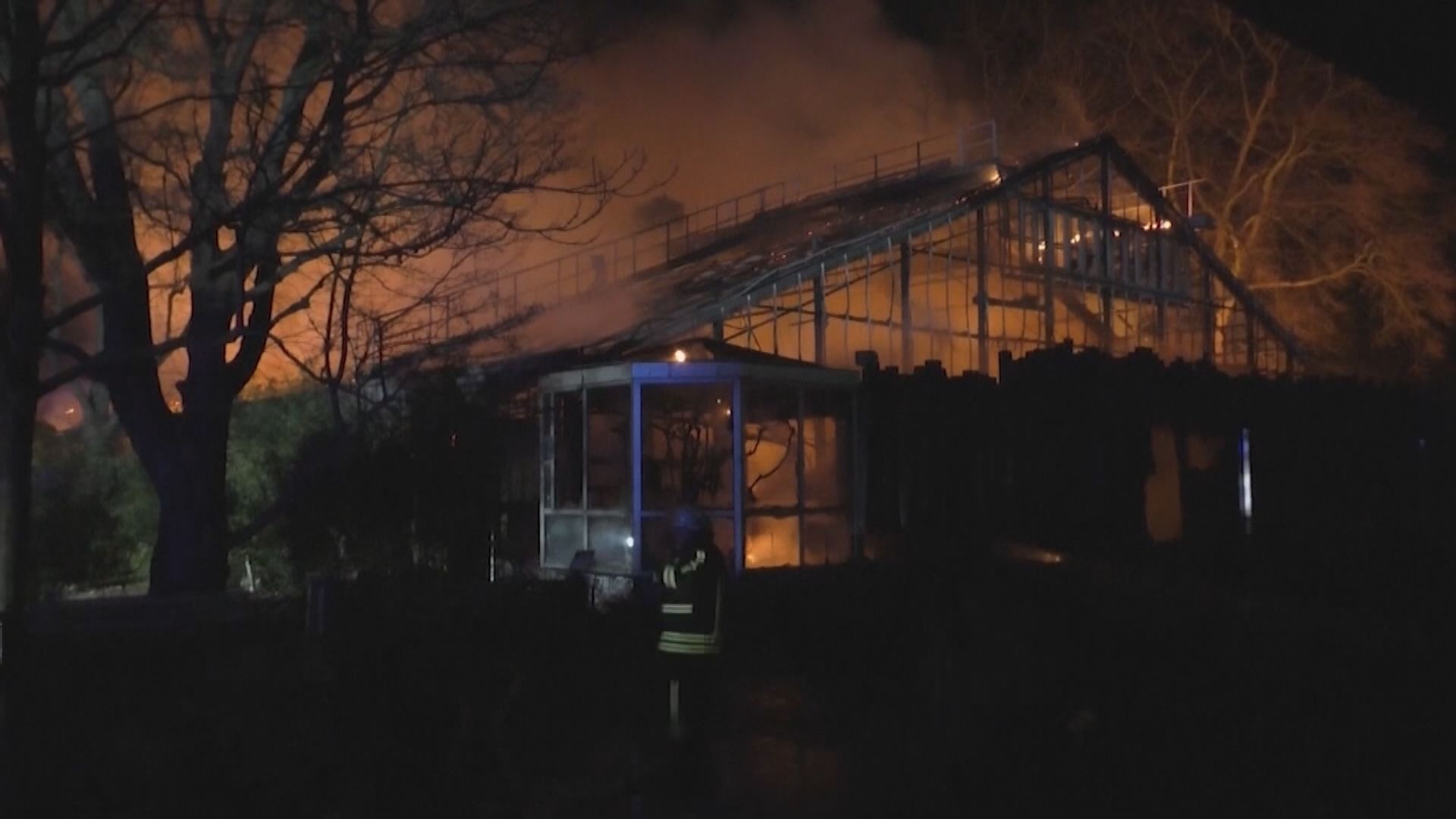 德國動物園大火逾30隻動物被燒死