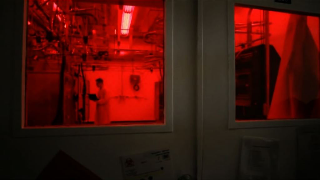 默克爾要求車廠交代涉資助用人及猴測廢氣項目