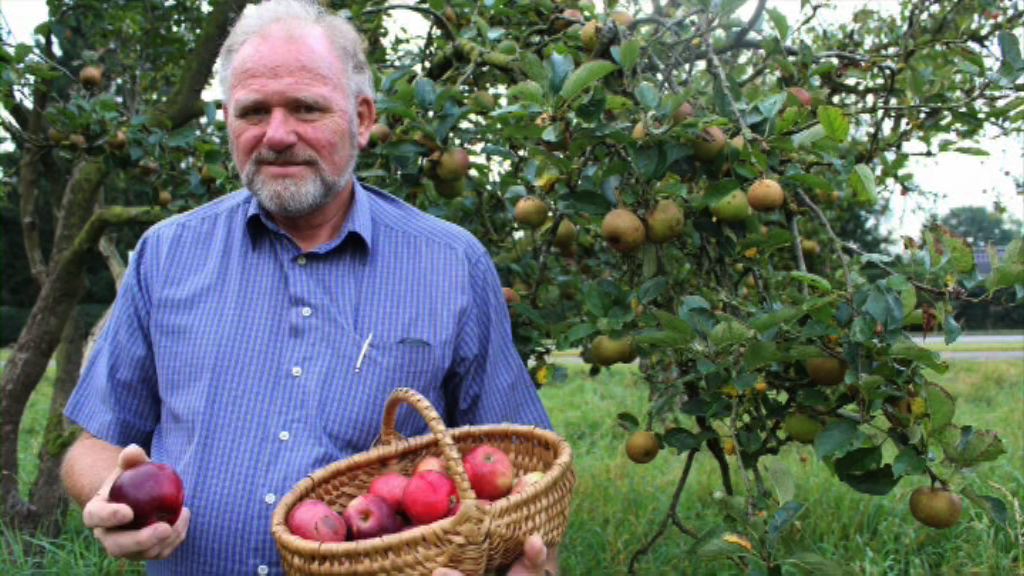 德國親難民市長遇襲疑涉仇外