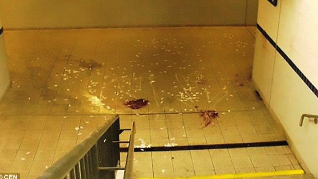 德國極右分子疑挑動反難民情緒