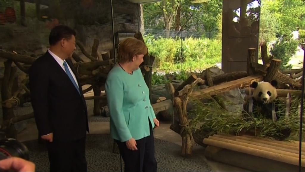 習近平柏林主持大熊貓館開館