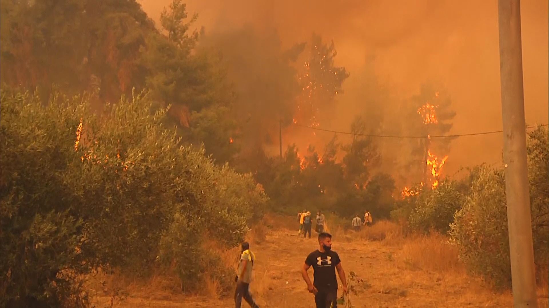 北半球多處出現嚴重山火　希臘埃維亞島數千居民撤離