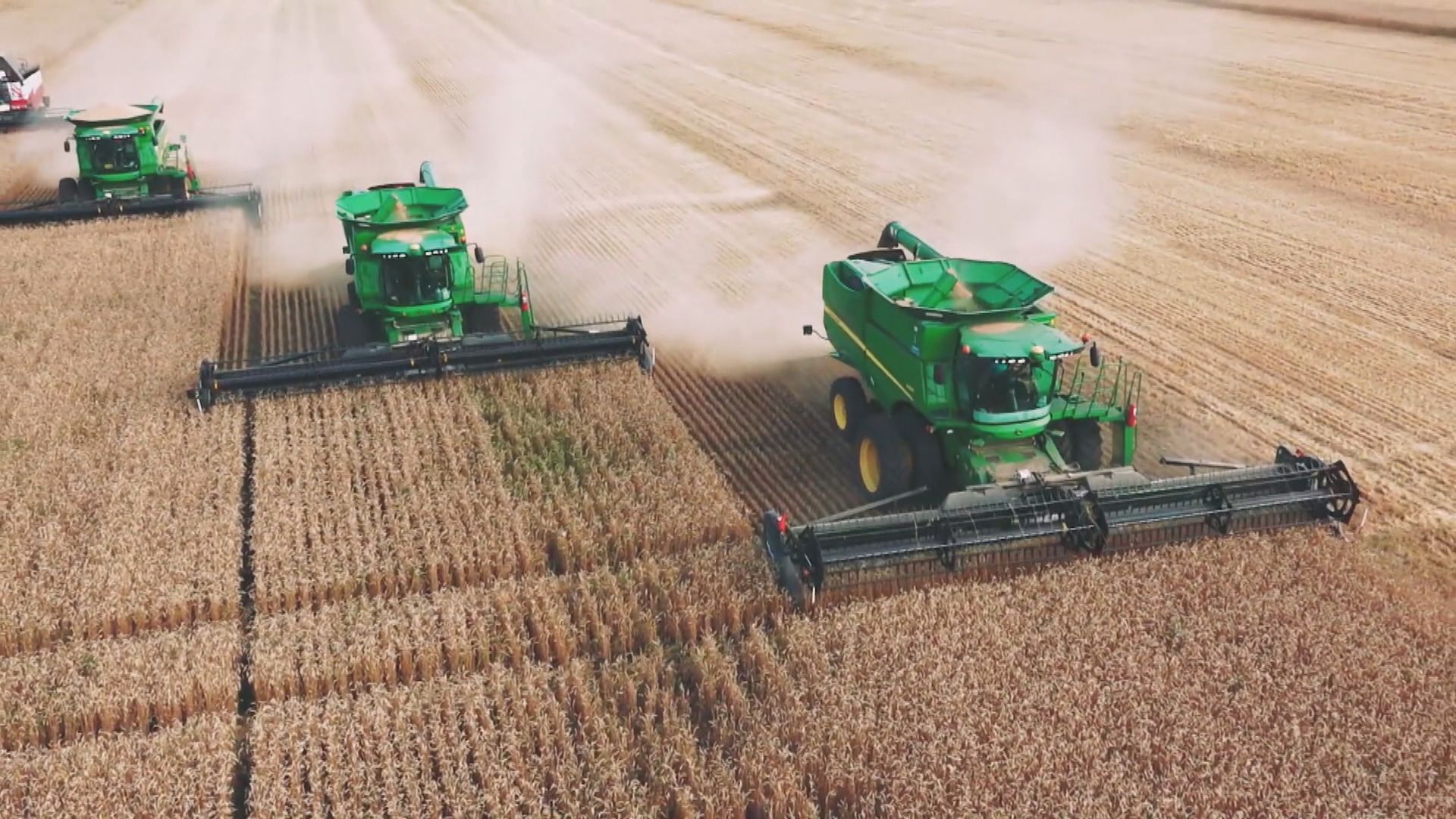 俄烏戰事影響糧食出口　多國想盡辦法儲糧