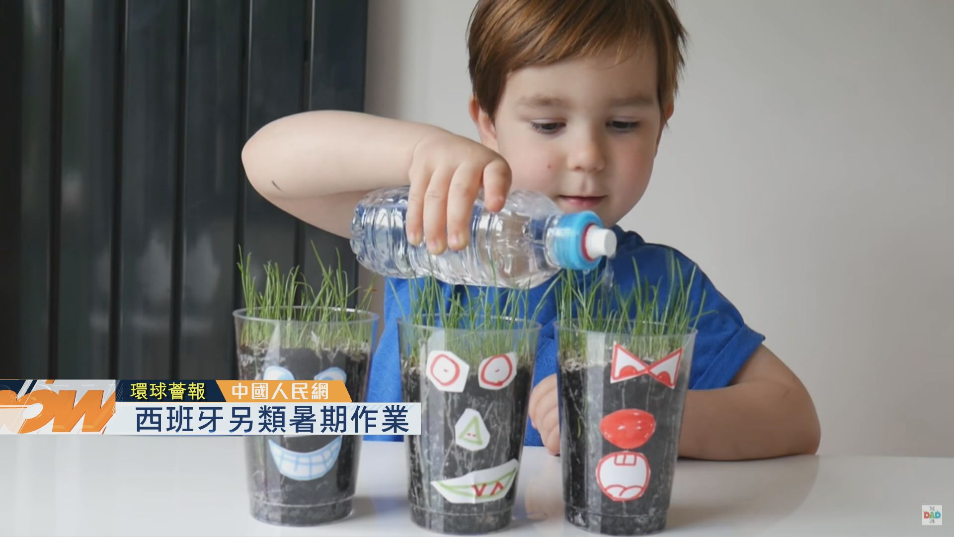 【環球薈報】西班牙另類暑期作業