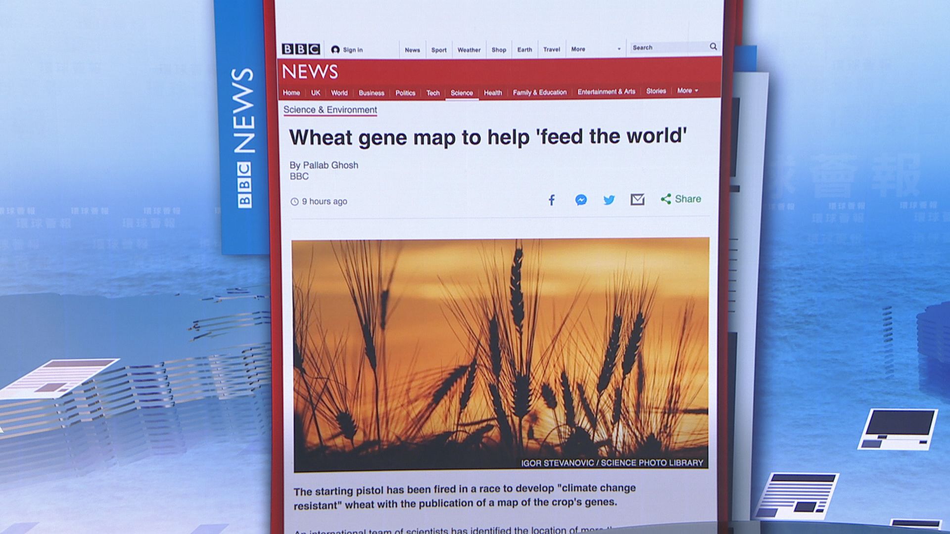 【環球薈報】科學團隊成功排列逾十萬個小麥基因序列