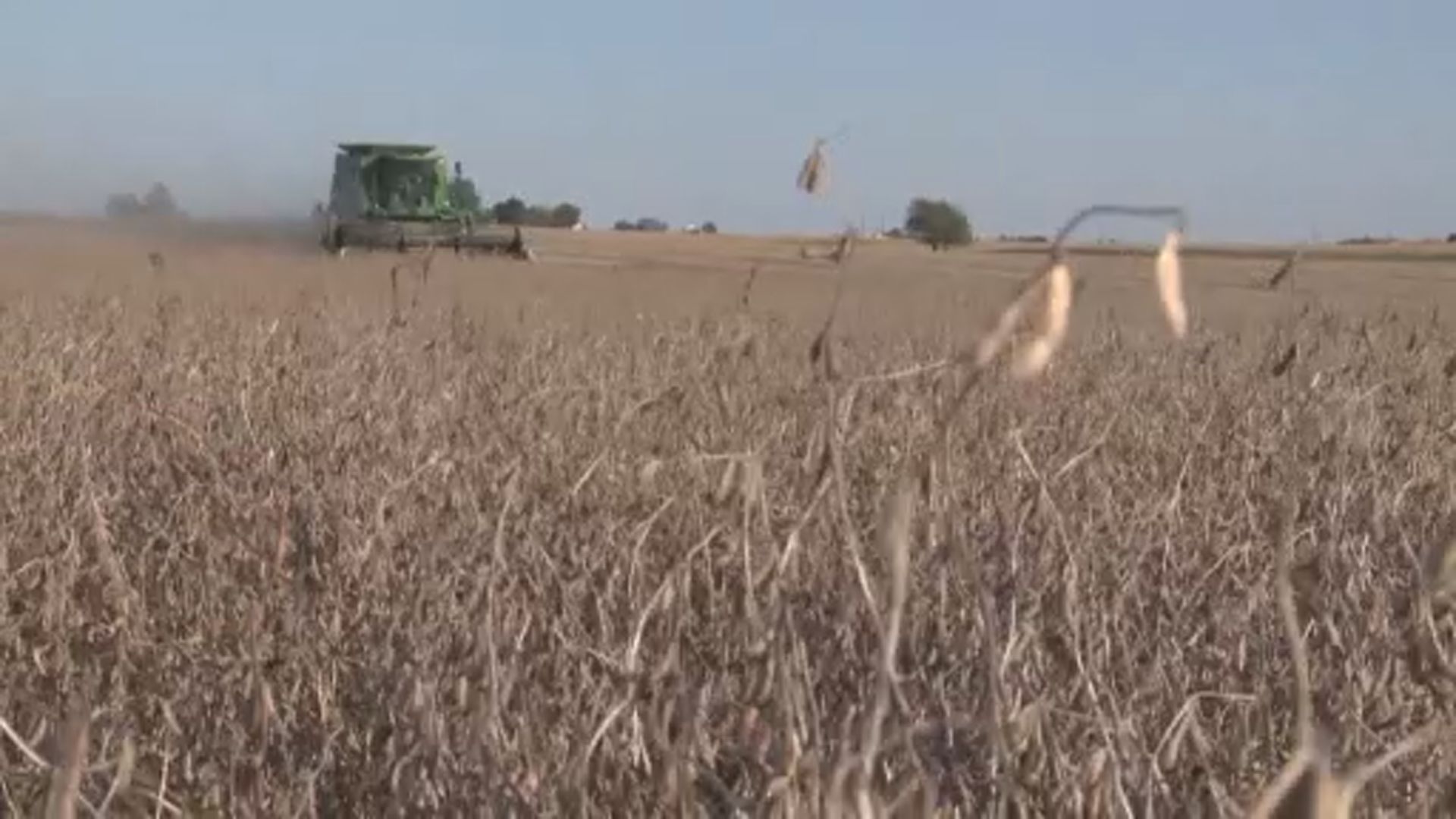 【環球薈報】美軍方研究改變農作物基因惹疑慮