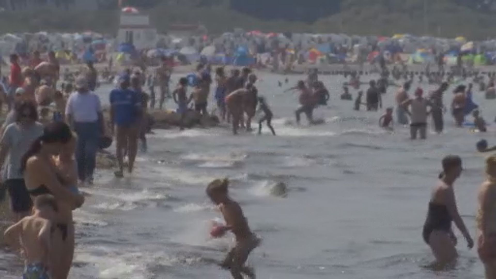 【環球薈報】帛琉禁止使用太陽油保護珊瑚