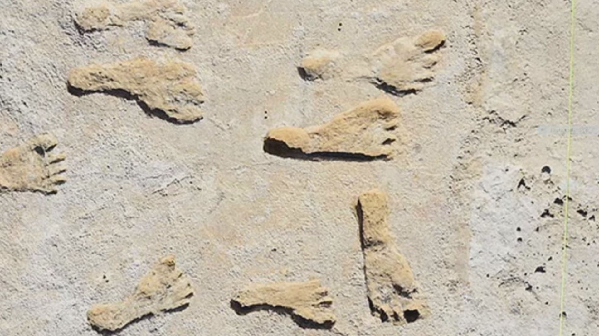 【環球薈報】古老腳印揭示二萬多年前已有人類在北美洲活動