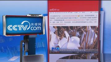 【環球薈報】山西聞喜縣持續降溫出現「冰蝴蝶」美景