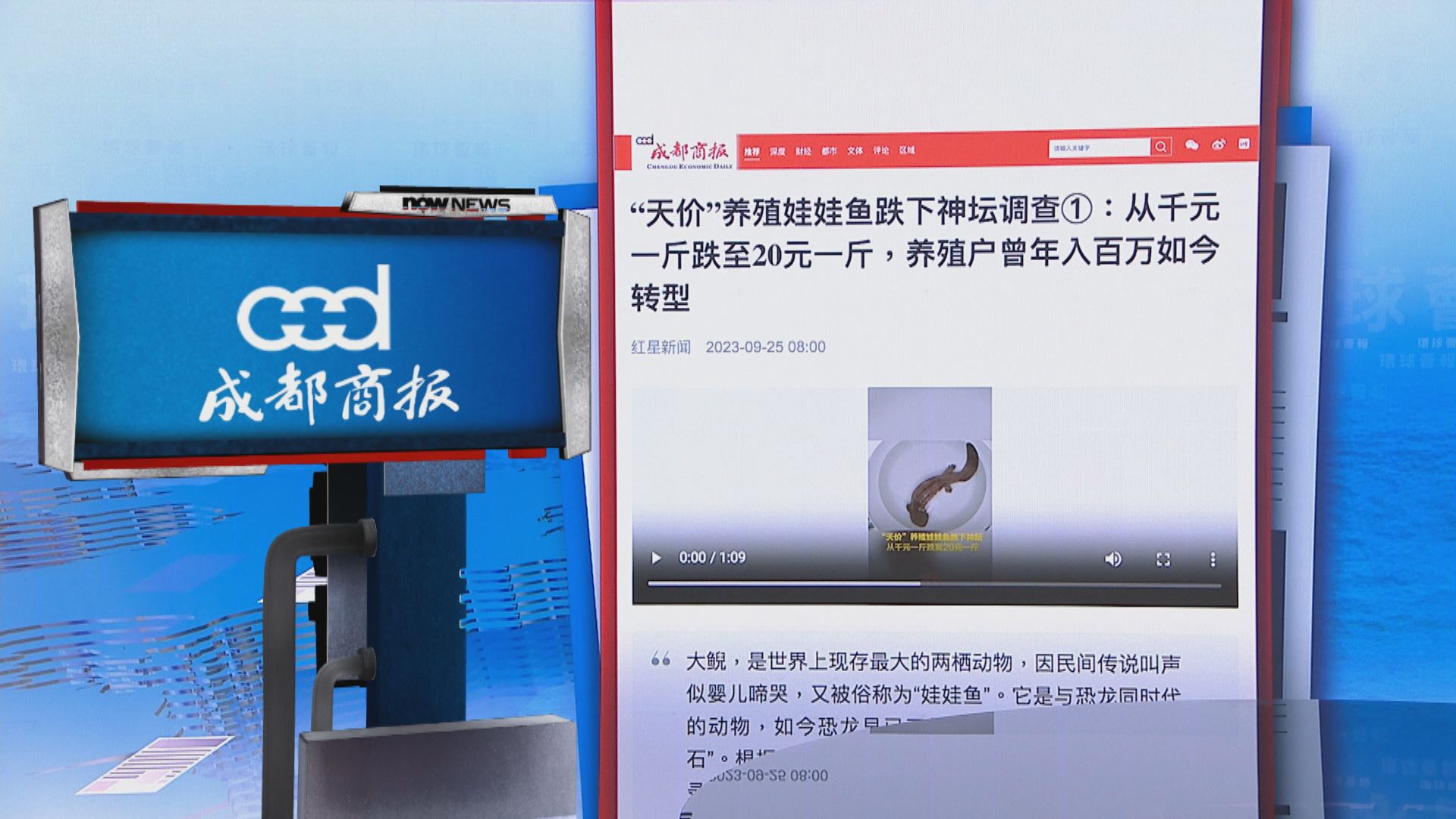 【環球薈報】內地娃娃魚「身價」大跌 養殖戶被迫轉型