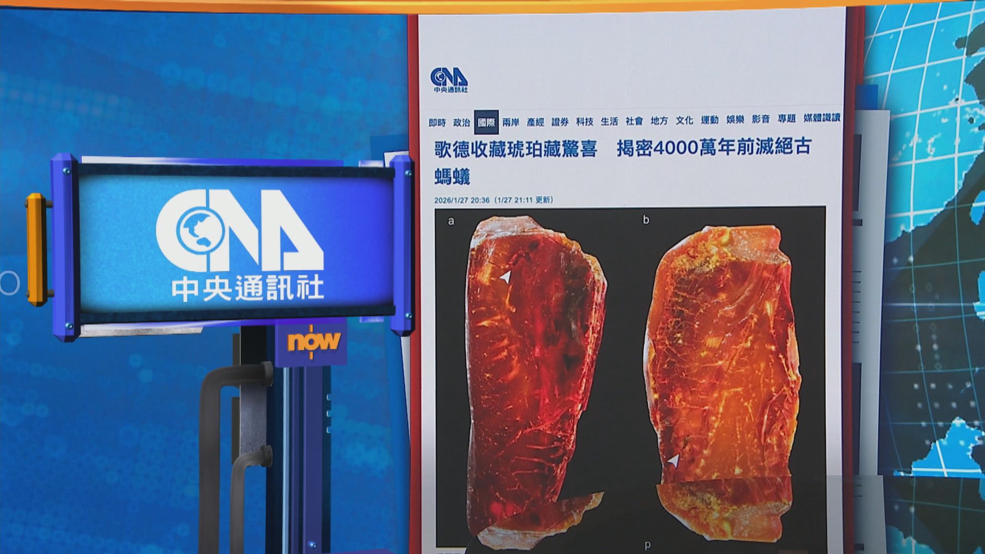 世味天下｜德國文豪歌德收藏琥珀中　發現4000萬年前滅絕古螞蟻