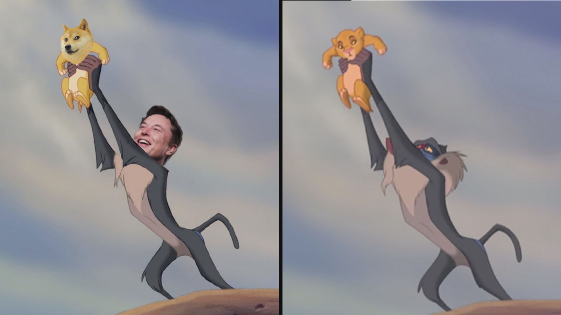 【環球薈報】馬斯克Twitter復出帶動「狗狗幣」價格飆升一半