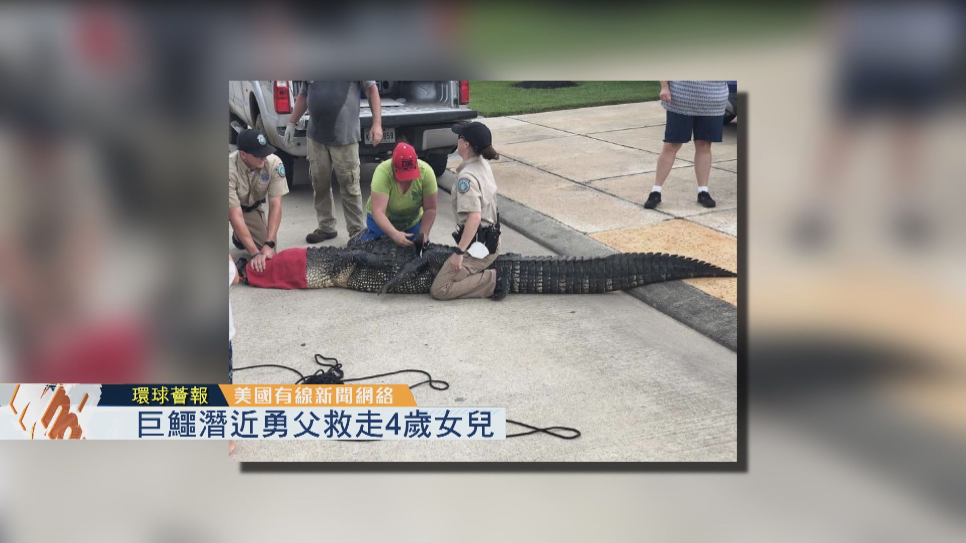 【環球薈報】巨鱷潛近勇父救走4歲女兒