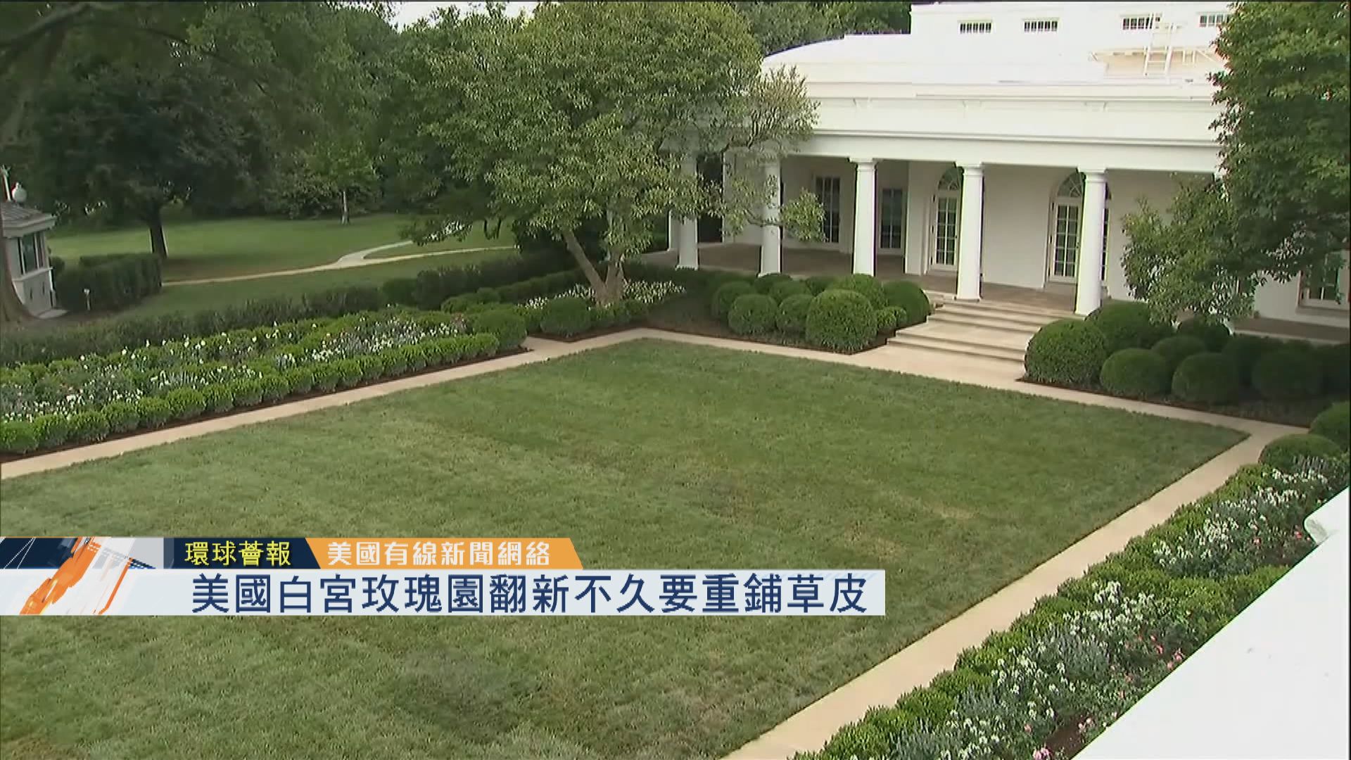 【環球薈報】美國白宮玫瑰園翻新不久要重鋪草皮