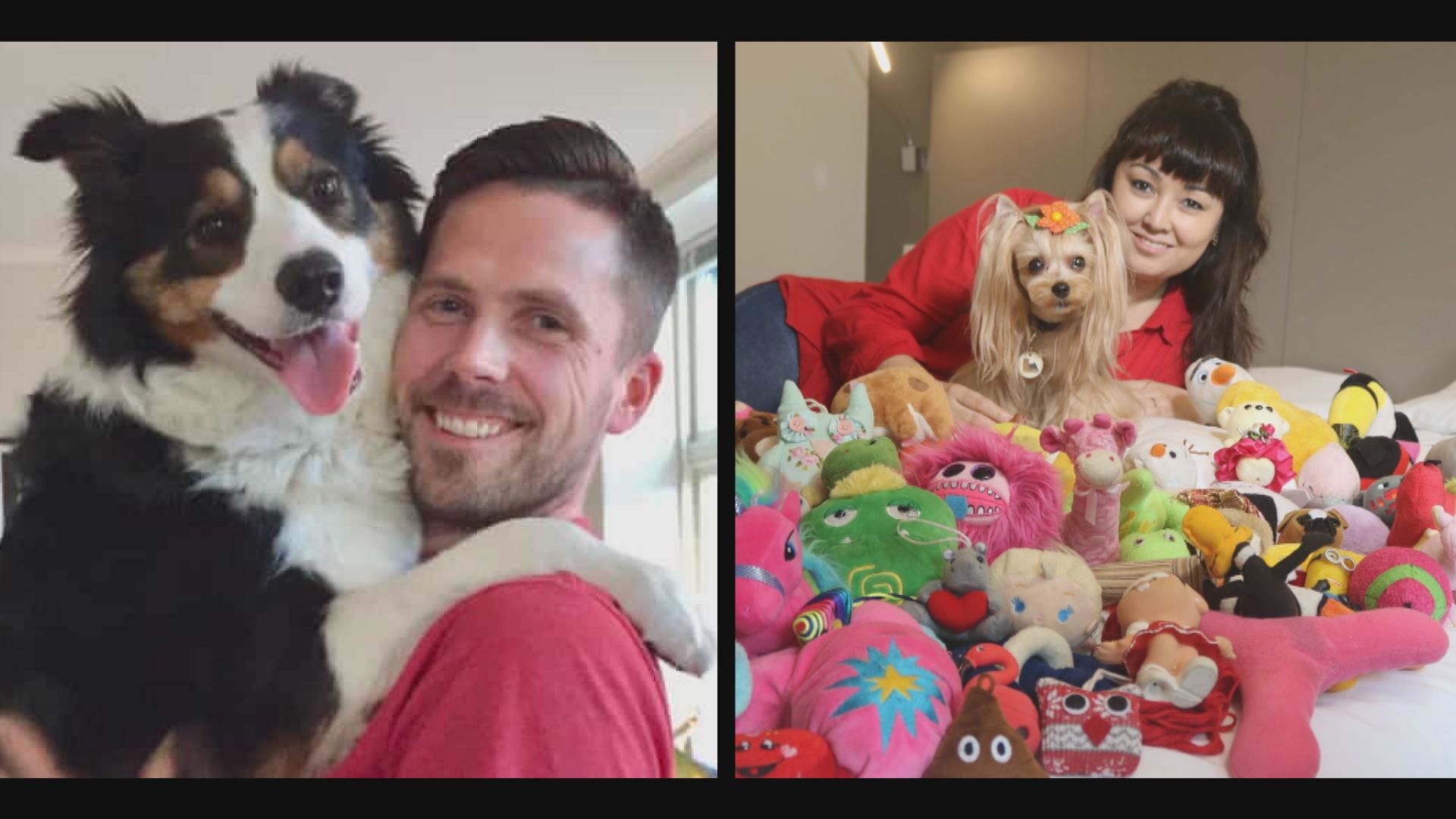 【環球薈報】研究指少數未受訓狗隻可快速學懂新詞彙