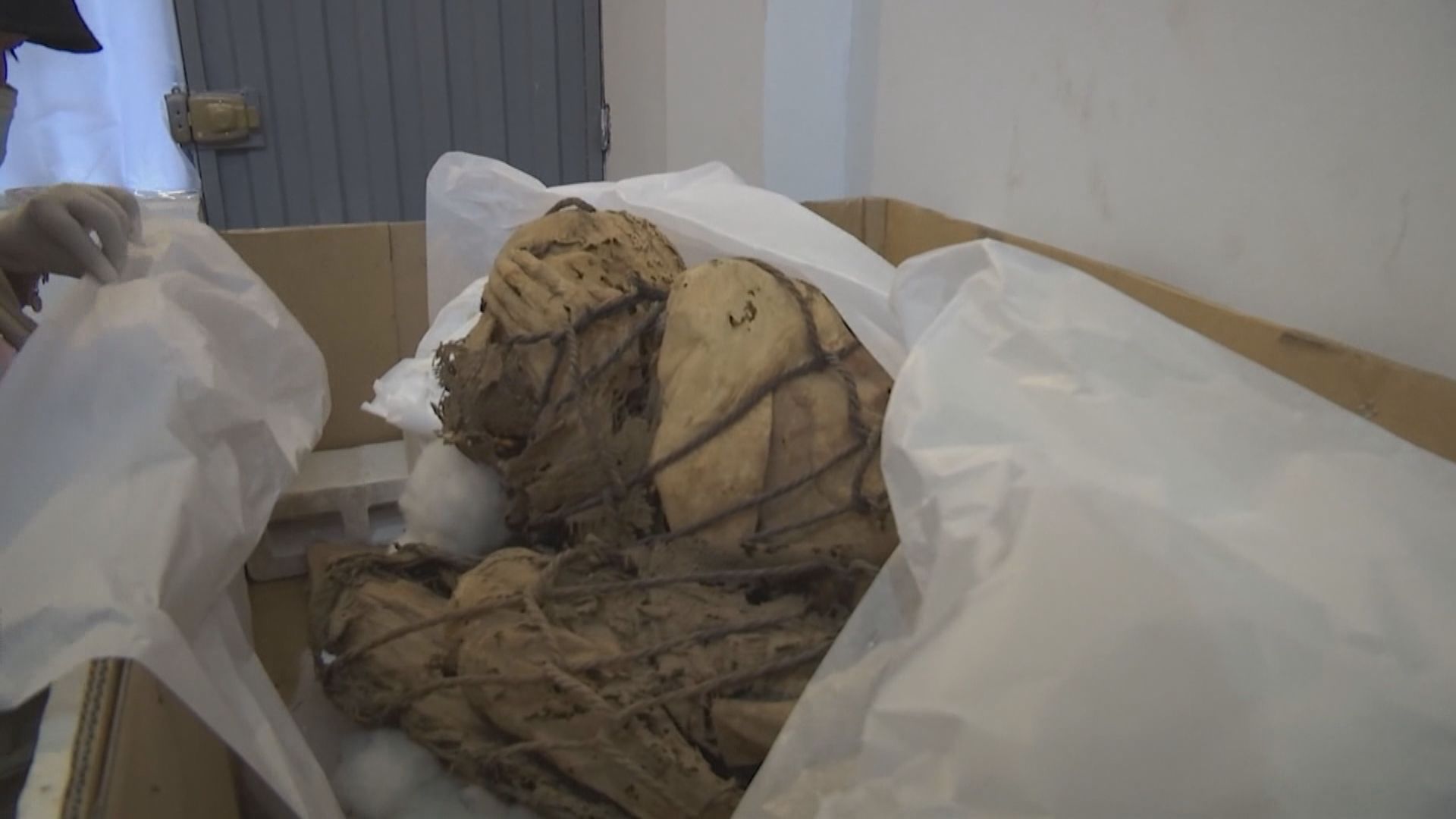 【環球薈報】秘魯發現逾八百年歷史「雙手掩面」木乃伊