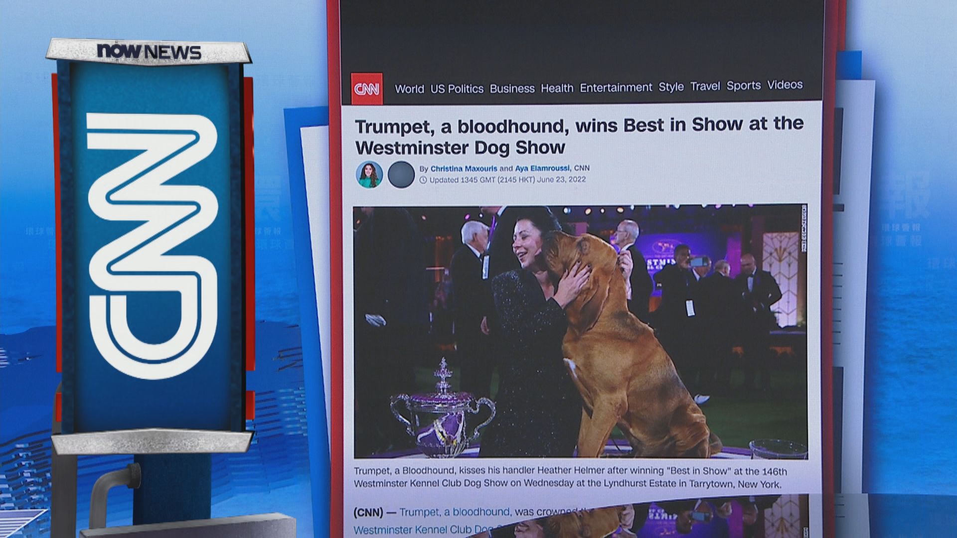 【環球薈報】美國威斯敏斯特狗展首次有尋血獵犬奪全場總冠軍