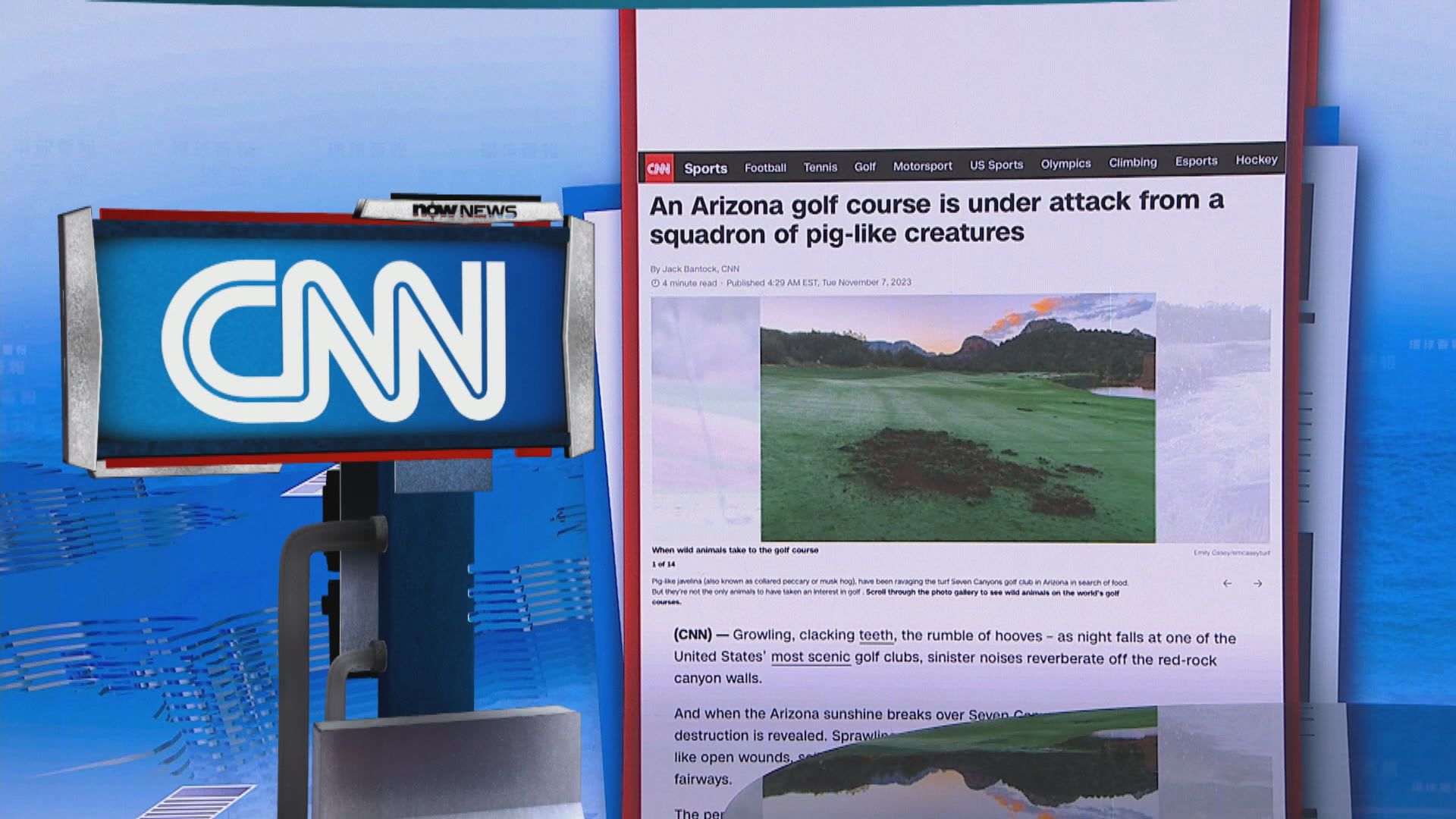 【環球薈報】西貒闖入破壞草坡 高球場一籌莫展