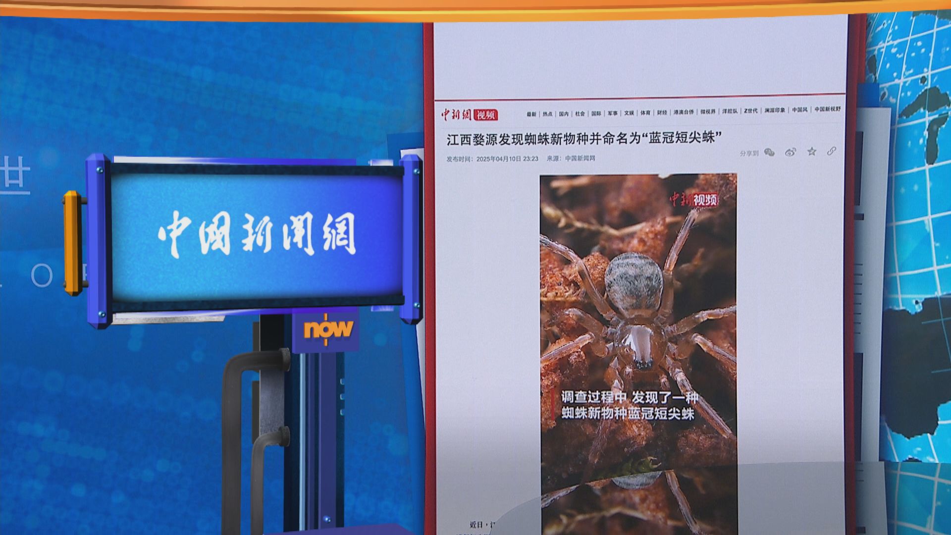 世味天下｜江西國家級自然保護區發現新品種蜘蛛