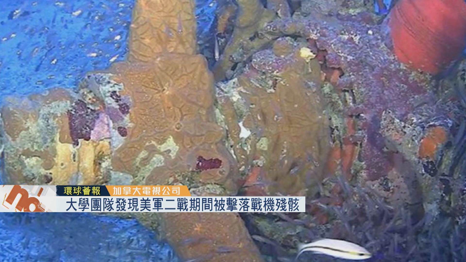 【環球薈報】大學團隊發現美軍二戰期間被擊落戰機殘骸