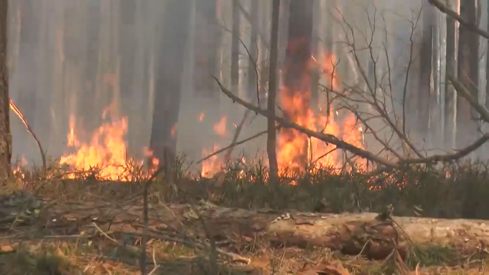 【環球薈報】烏克蘭森林大火蔓延至核電廠禁區