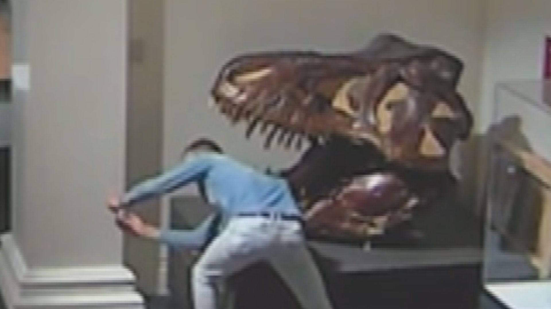 【環球薈報】男子闖入博物館夜遊　與暴龍頭骨自拍