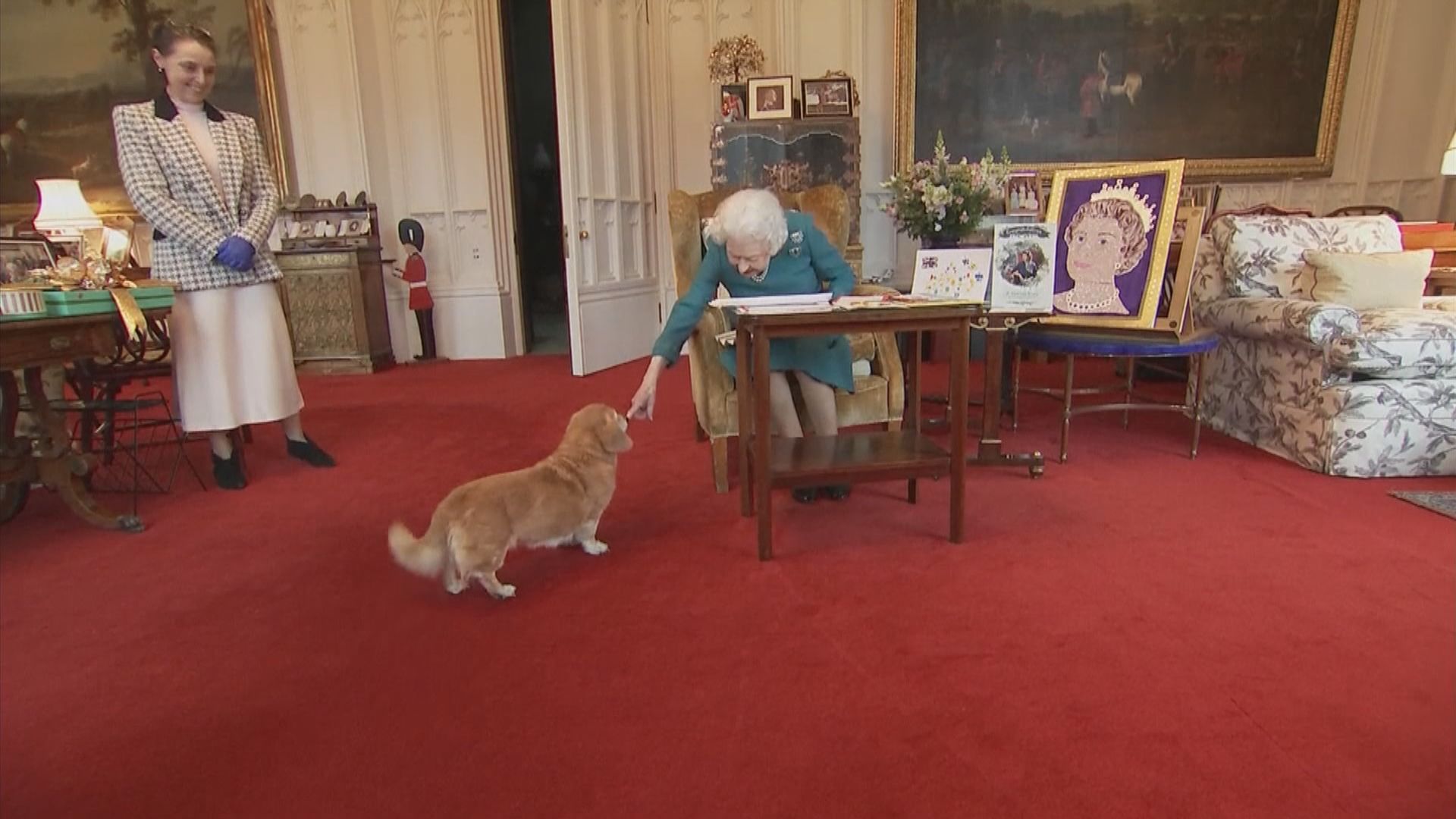 【環球薈報】英女王生前最愛　哥基犬身價飈升一倍