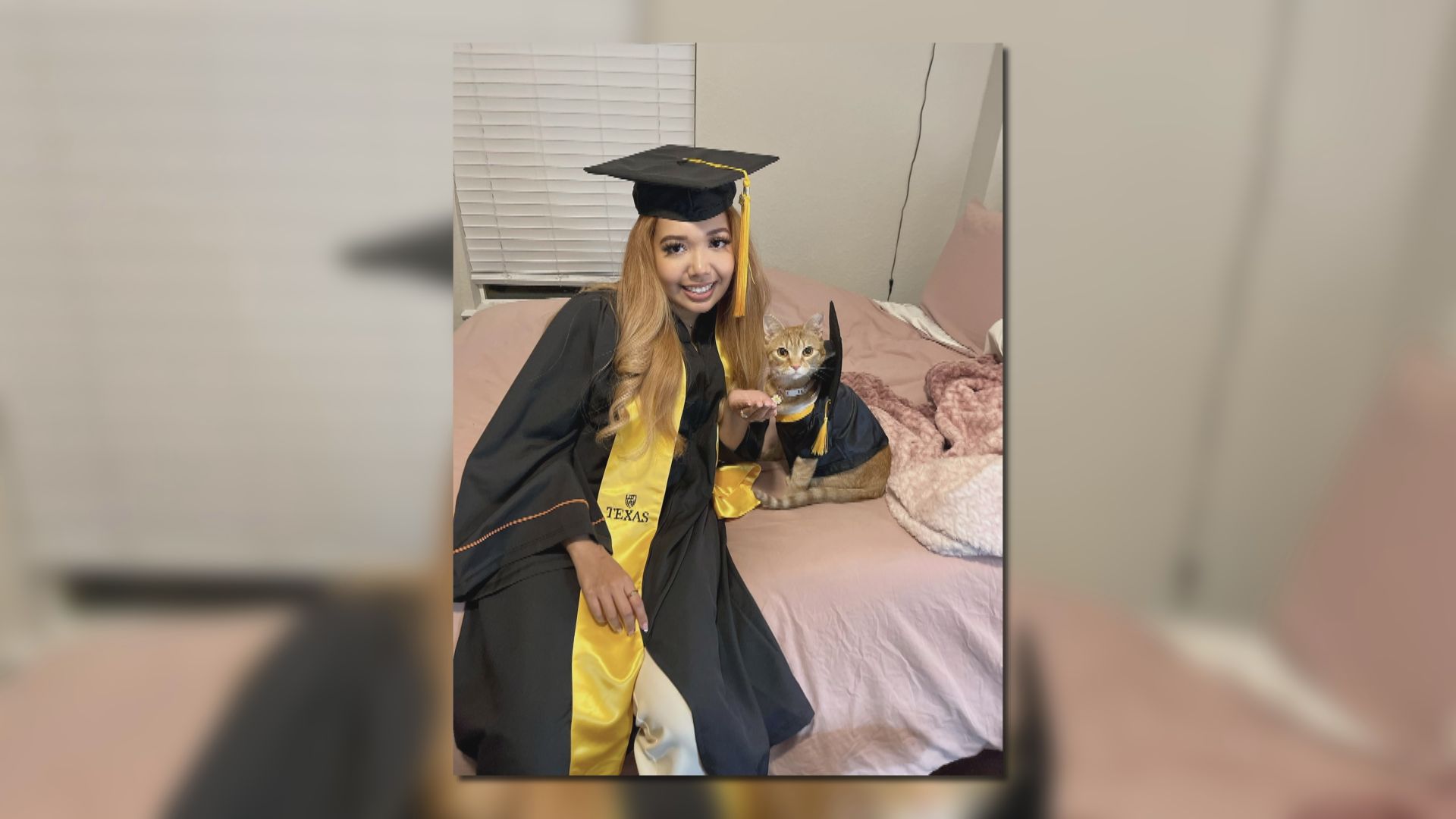 【環球薈報】美國貓咪陪伴主人上足網課　獲准齊齊「畢業」