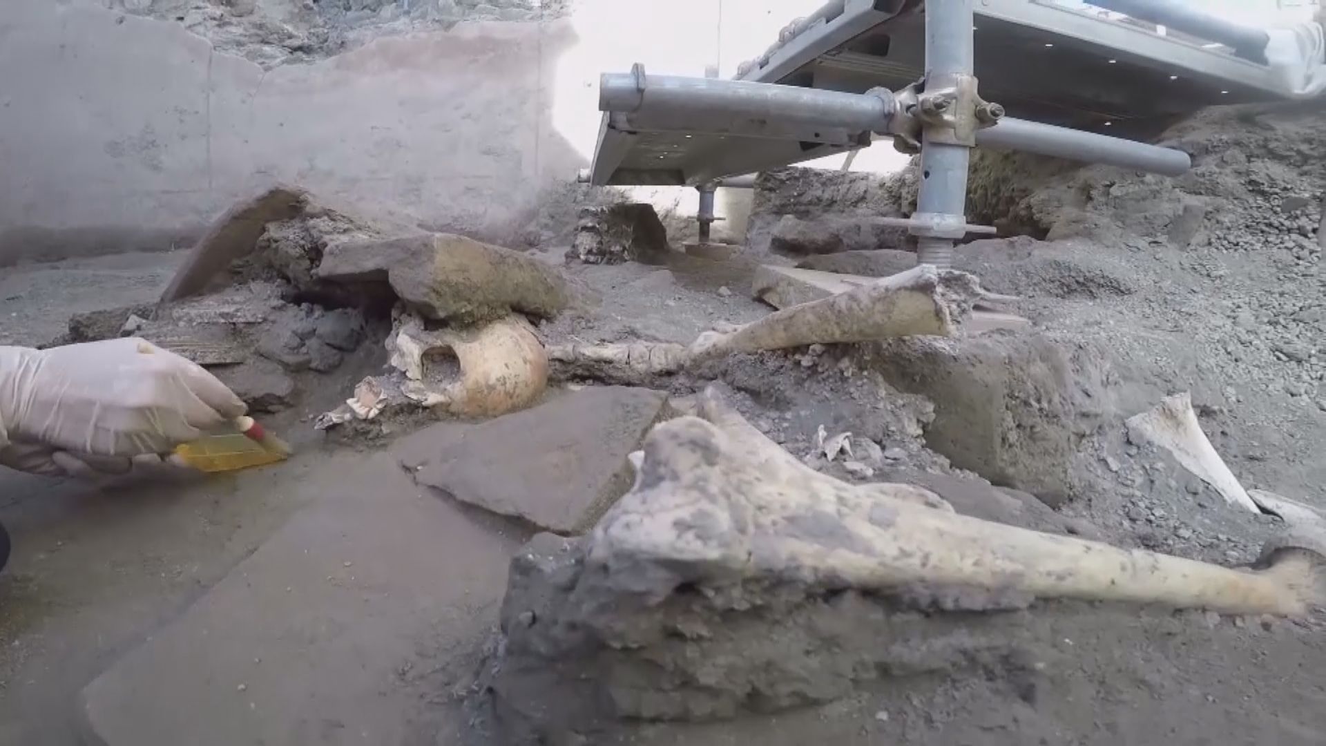 【環球薈報】考古發現古羅馬沿海居民海鮮攝取量比現代人多