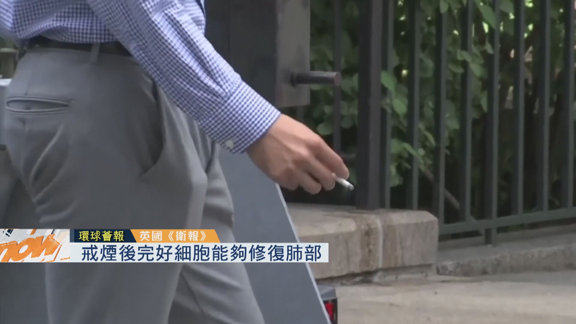 【環球薈報】戒煙後完好細胞能夠修復肺部