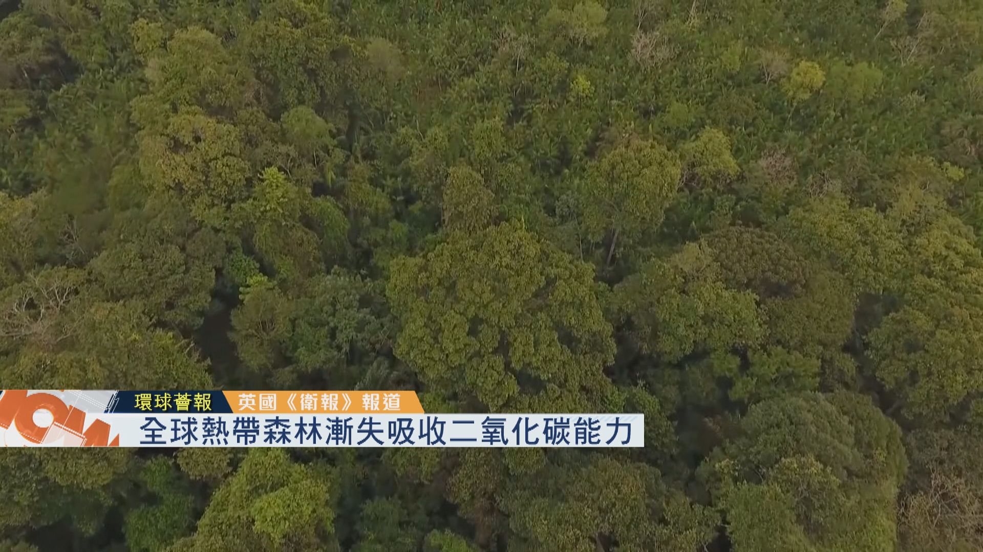 【環球薈報】全球熱帶雨林漸失吸收二氧化碳能力