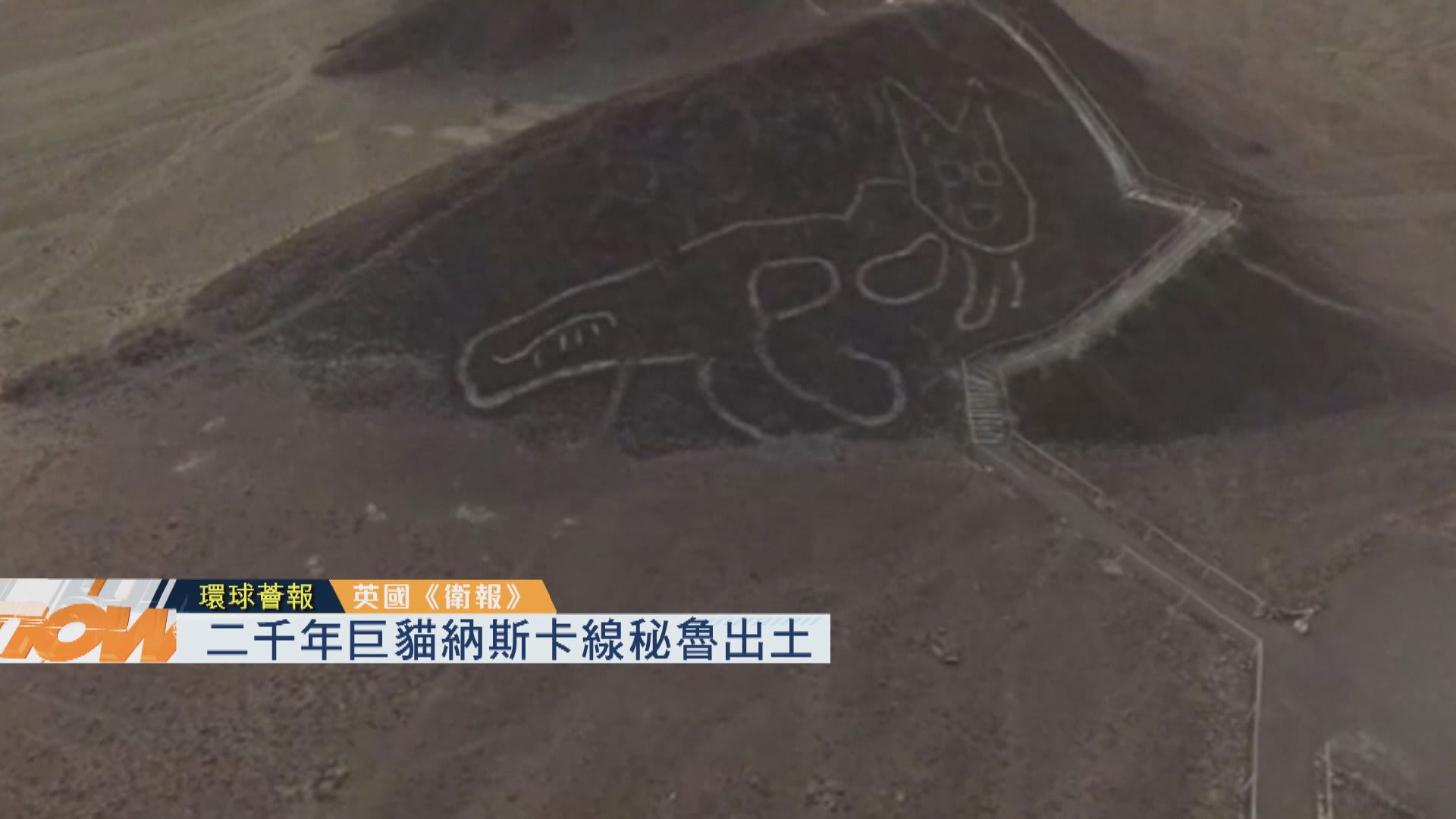 【環球薈報】二千年巨貓納斯卡線秘魯出土