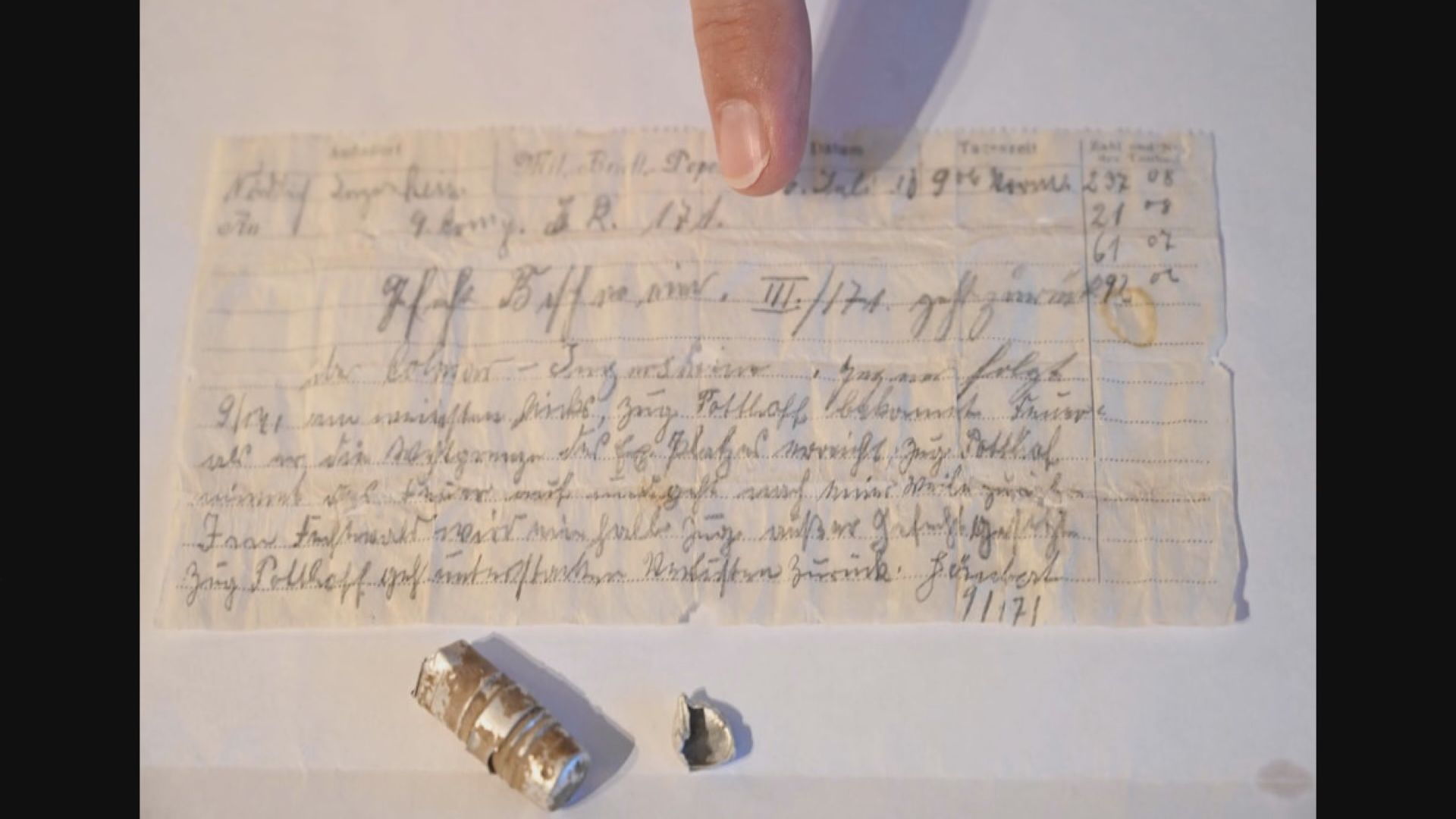 【環球薈報】法國夫婦發現一戰時期信鴿傳送軍事情報