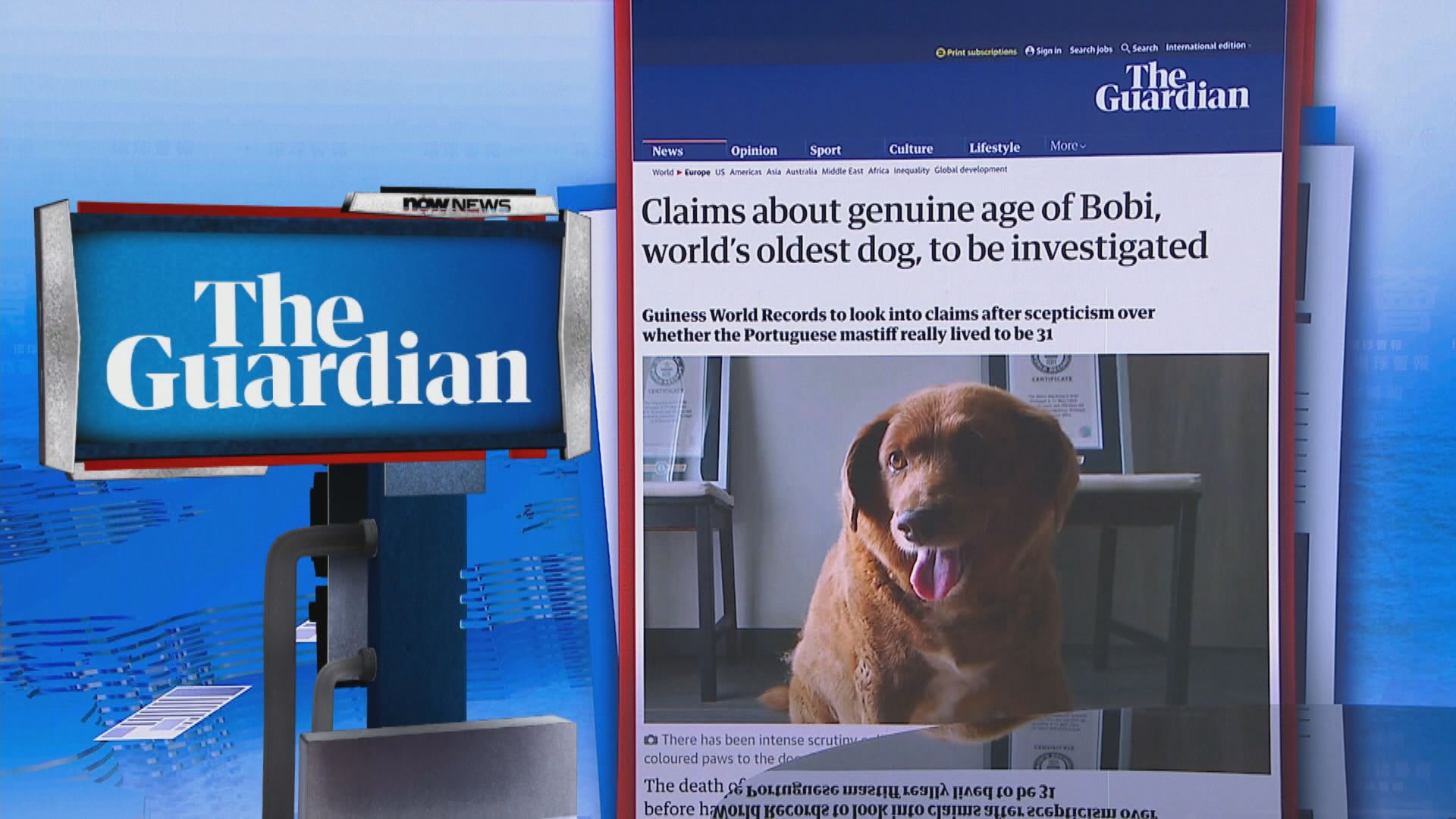 【環球薈報】全球最長壽狗年紀被質疑 健力士正展開調查