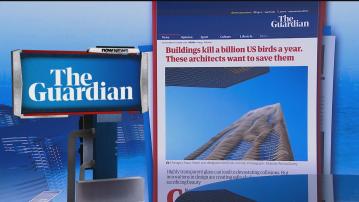 【環球薈報】玻璃幕牆易令雀鳥撞死 新建築設計兼顧鳥類安全