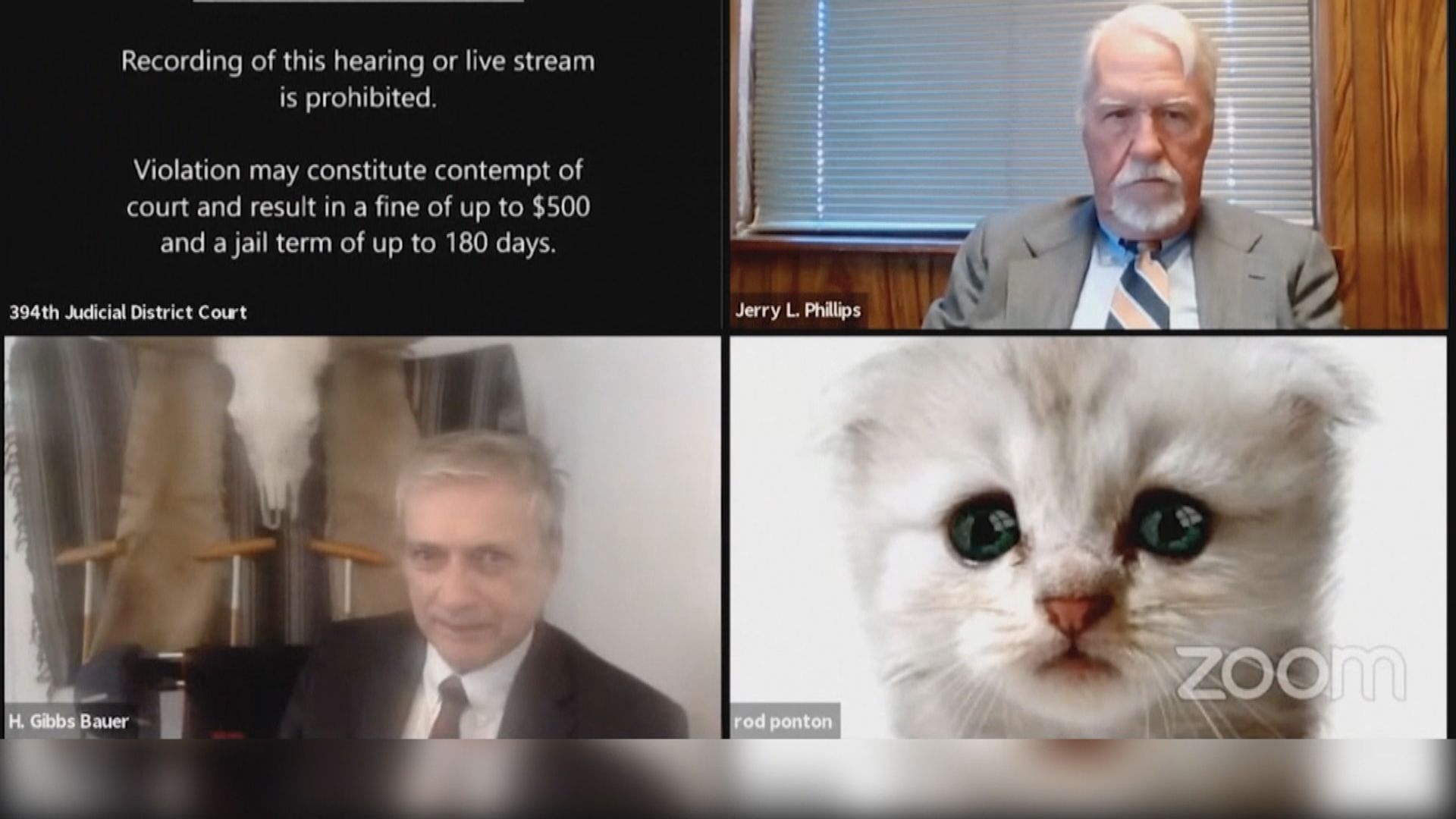 【環球薈報】Zoom未取消濾鏡　檢察官變成一頭貓