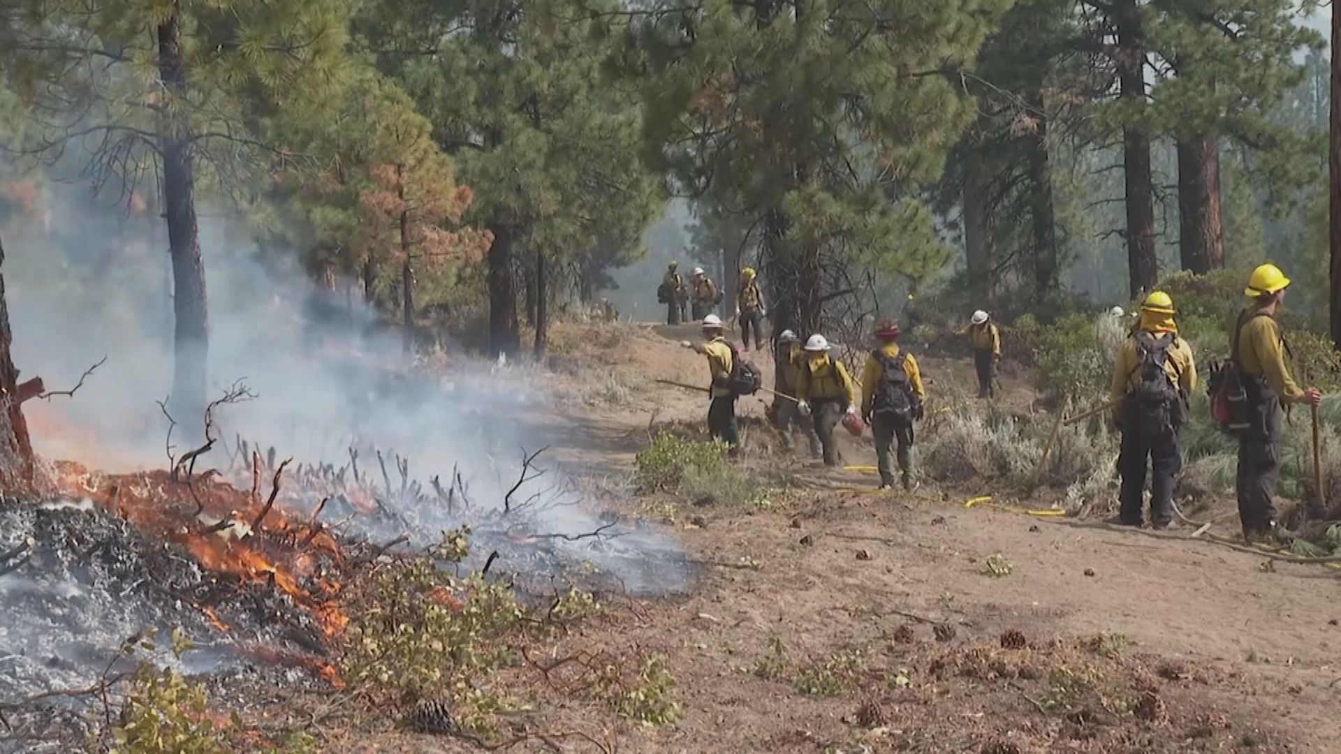【環球薈報】紐約空氣質素受山火影響持續惡劣