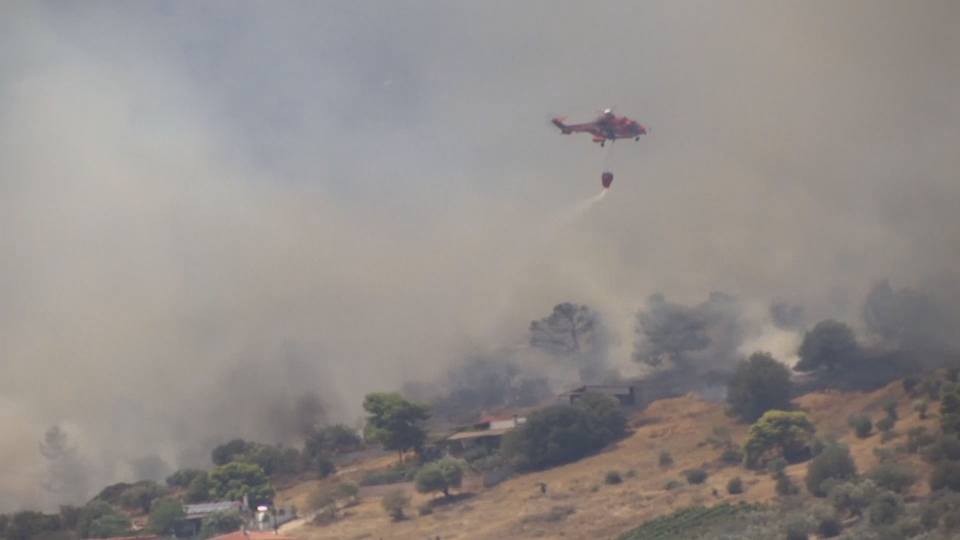 【環球薈報】希臘科學家計劃命名熱浪　盼市民關注氣候危機