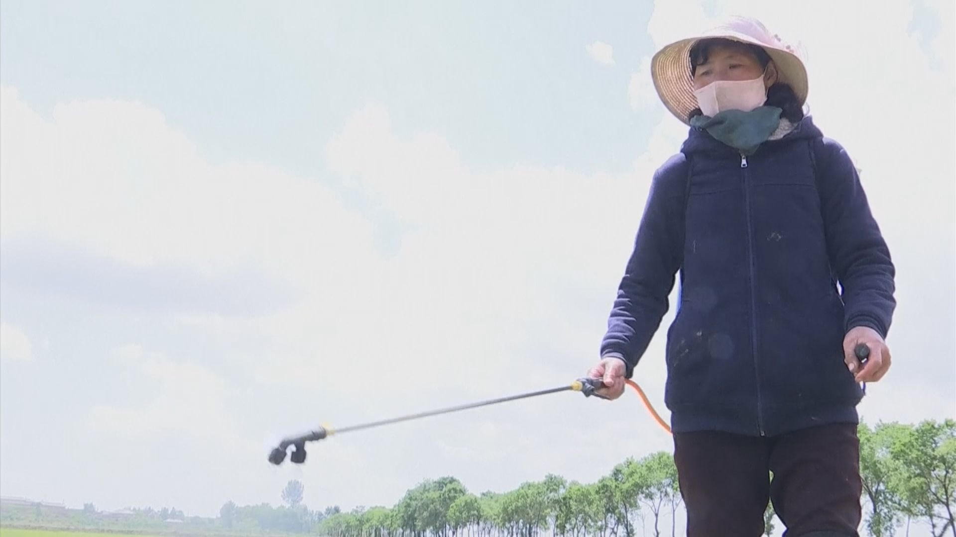 【環球薈報】聯合國指全球近九成農業補貼危害健康及環境