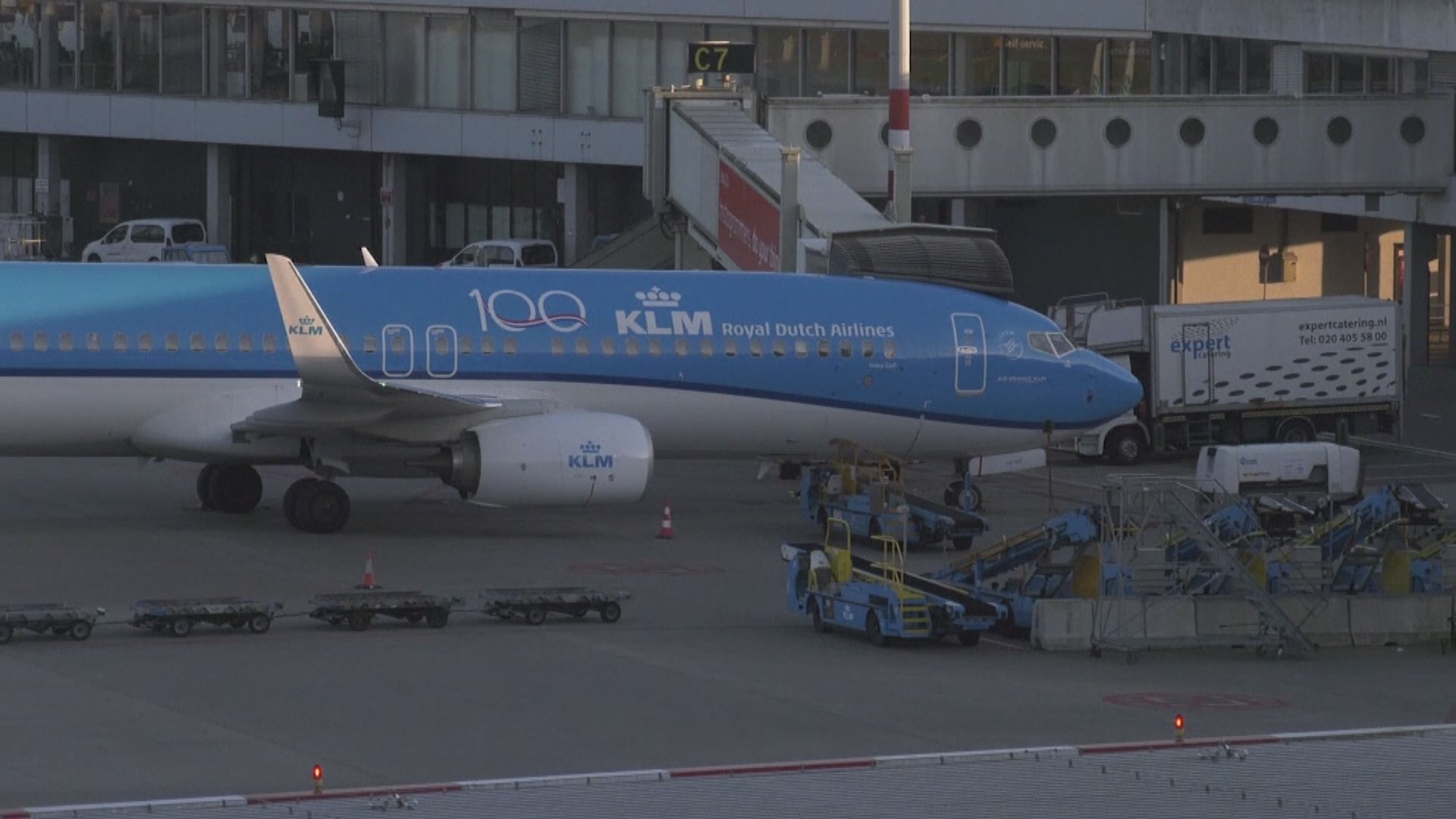 【環球薈報】荷蘭機場試驗以豬驅鳥確保飛機安全