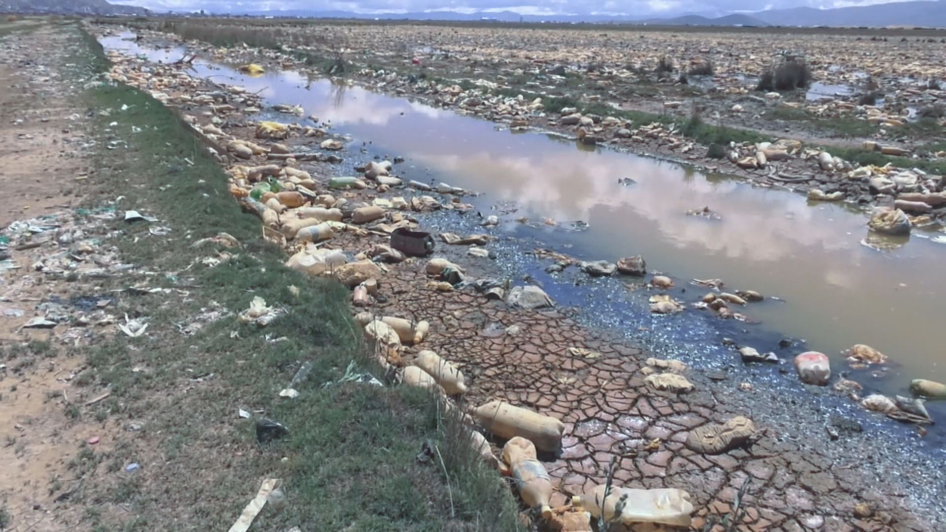 【環球薈報】微生物進化至可「進食」塑膠