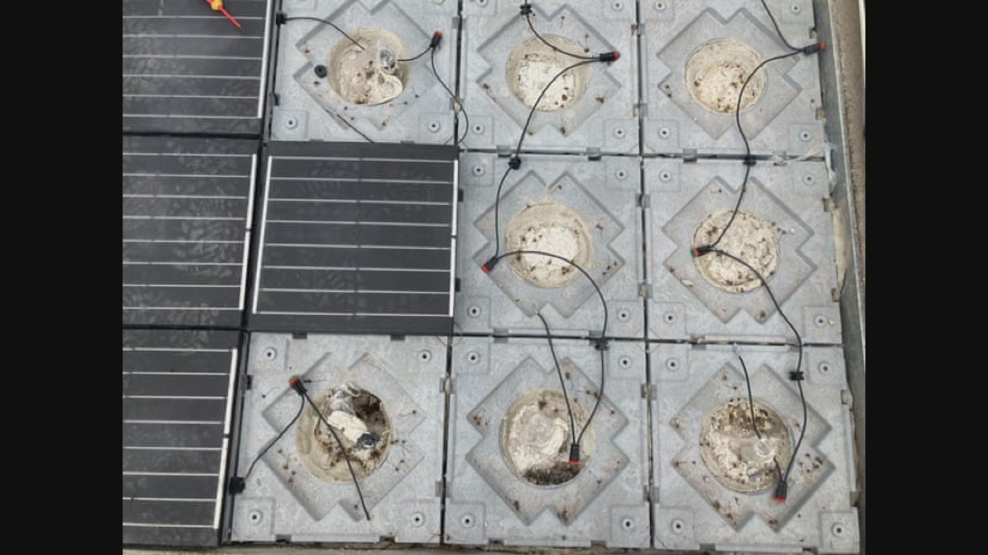 【環球薈報】巴塞羅那鋪設首條太陽能行人路