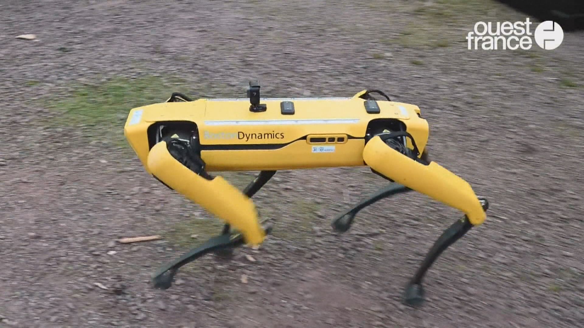 【環球薈報】法國軍方引入機械狗參與戰鬥訓練